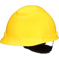 Casque de s&eacute;curit&eacute; de s&eacute;rie H SecureFit, R&eacute;pond aux normes CSA type 1, Suspension Rochet, Non ventil&eacute; Trail Hammer and Bolt