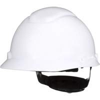 Casque de s&eacute;curit&eacute; SecureFit H-700, R&eacute;pond aux normes CSA type 1, Suspension Rochet, Non ventil&eacute; Trail Hammer and Bolt