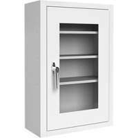Lockable Medicine Cabinet with Plexiglas Door Trail Hammer and Bolt