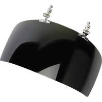 DP4 Series Faceshield Visor, IR 5.0 Tint Trail Hammer and Bolt