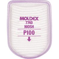 Semi-Rectangular Respirator Filter, Particulate Filter, P100 Filter Trail Hammer and Bolt