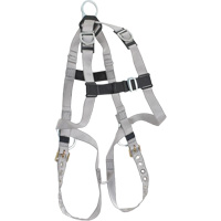 B-Compliant Safety Harness, CSA Certified, Class AEP Trail Hammer and Bolt
