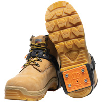 Crampons cibl&eacute;s pour traction sur glace Trail Hammer and Bolt