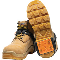 Crampons cibl&eacute;s pour traction sur glace Trail Hammer and Bolt