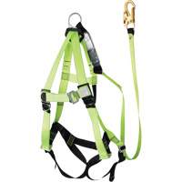 FBH-10000A6440-4 4' Class A Harness & Lanyard with 350 lbs. Capacity, Harness/Lanyard Combo Trail Hammer and Bolt