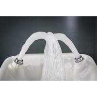 Eye/Face Wash, Wall-Mount Installation, Plastic Bowl Trail Hammer and Bolt