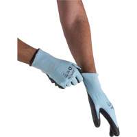Gants &eacute;lastiques &eacute;cologiques r&eacute;sistants &agrave; la coupe, Taille 10, Calibre 13, Rev&ecirc;tement Polyur&eacute;thane, Enveloppe en PEHP/rPET, ASTM ANSI niveau A3 Trail Hammer and Bolt