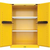 Armoire de s&eacute;curit&eacute; pour produits inflammables Utili-Guard+, 45 gal., 2 Porte(s), 43" La x 65" h x 22" p Trail Hammer and Bolt