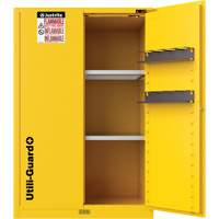 Armoire de s&eacute;curit&eacute; pour produits inflammables Utili-Guard+, 45 gal., 2 Porte(s), 43" La x 65" h x 22" p Trail Hammer and Bolt