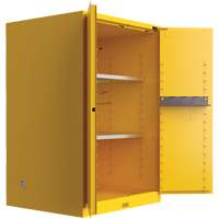 Armoire de s&eacute;curit&eacute; pour produits inflammables Utili-Guard+, 45 gal., 2 Porte(s), 43" La x 65" h x 22" p Trail Hammer and Bolt