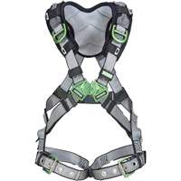 V-FIT Full Body Safety Harness, CSA Certified, Class AEP, Standard, 400 lbs. Cap. Trail Hammer and Bolt