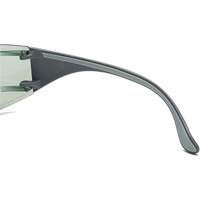 Lunettes de s&eacute;curit&eacute; Adapt Lite, Lentille Int&eacute;rieur/ext&eacute;rieur, Antibu&eacute;e/Anti-&eacute;gratignures, ANSI Z87+/R&eacute;pond ou surpasse la norme CSA Z94.3 Trail Hammer and Bolt