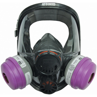 Respirateur &agrave; masque complet North s&eacute;rie 7600, Silicone, Grand/Moyen/Moyen/grand Trail Hammer and Bolt