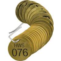 Numbered "HWS" Valve Tags, # 076-100, Brass, 1.5" dia Trail Hammer and Bolt