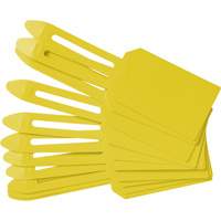 &eacute;tiquettes de cadenassage vierges en plastique, Plastique, 3-1/4" la x 5-4/5" h, Vierge Trail Hammer and Bolt