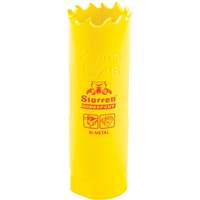 Scie &agrave; cloche bim&eacute;tal 13/16", 13/16", Profondeur de la coupe 2", Bim&eacute;tal Trail Hammer and Bolt