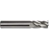 Fraise embout S134, 1/8" dia., 1-1/2" lo, 4 cannelures, 1/8" tige, Carbure Trail Hammer and Bolt