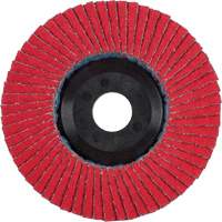 Flap Disc, 4-1/2" x 5/8"-11, Type 27, 40 Grit, Ceramic Trail Hammer and Bolt