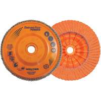 Enduro-Flex Turbo Flap Disc, 4-1/2" x 5/8"-11, 36/60 Grit Trail Hammer and Bolt