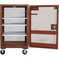 Mobile Mesh Cabinet, Steel, 22 Cubic Feet, Red Trail Hammer and Bolt