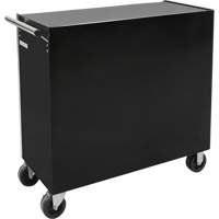 Industrial Tool Cart, 11 Drawers, 41" W x 18-3/4" D x 39-1/3" H, Black Trail Hammer and Bolt
