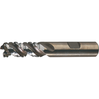 CLEVELAND PM Plus Single End Roughers, Powder Metal, 3-Flute, Centre Cutting, Square End, 3/4" Dia. Trail Hammer and Bolt