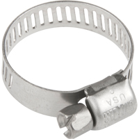 Hose Clamps - Stainless Steel Band & Screw, Min Dia. 0.316, Max Dia. 7/8" Trail Hammer and Bolt