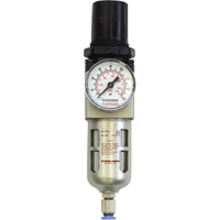 Modular Filter/Regulator, 1/4" NPT, 150 PSI, 0.5 fl.oz. Capacity Trail Hammer and Bolt