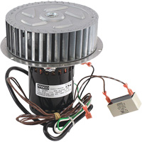 Assemblage de moteur et de roue de ventilateur Renzor Trail Hammer and Bolt