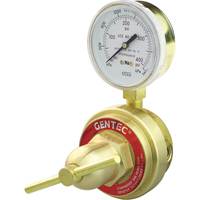 Medium-to-Heavy-Duty Pipeline Regulator, Acetylene, 1/4" NPT(F) Port Inlet Trail Hammer and Bolt