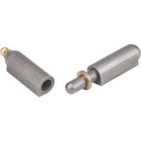 Charni&egrave;re &agrave; souder, 0,512" dia. x 3,15" lo, Acier doux a/goupille fixe en acier Trail Hammer and Bolt