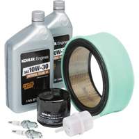 Kohler&reg; Tune Up Kit for Engine Maintenance Trail Hammer and Bolt