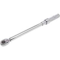 Micrometer Torque Wrench, 3/8" Square Drive, 20-100 ft-lbs. Trail Hammer and Bolt