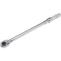 Micrometer Torque Wrench, 1/2" Square Drive, 30-150 ft-lbs. Trail Hammer and Bolt