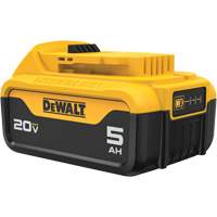 Bloc-piles Max XR Premium, Lithium-ion, 20 V, 5 A Trail Hammer and Bolt