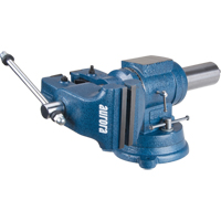 Multi-Purpose Bench Vise, 5" Jaw Width, 3-1/10" Throat Depth Trail Hammer and Bolt