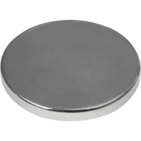 Max-Attach Rare Earth Magnets Trail Hammer and Bolt