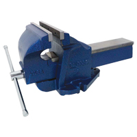 &eacute;tau d'&eacute;tabli en fonte ductile pour m&eacute;canicien, Largeur des m&acirc;choires 8", Profondeur de la gorge 4" Trail Hammer and Bolt