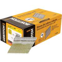 28° Angled Framing Nails Trail Hammer and Bolt