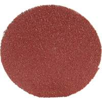 Roloc Disc 361F, 1-1/2" Dia., P100 Grit, Aluminum Oxide Trail Hammer and Bolt