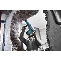 Marteau rotatif SDS-Max Trail Hammer and Bolt