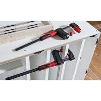 GearKlamp&reg; GK Series Bar Clamp, 12" (305 mm) Capacity, 2-3/8" (60 mm) Throat Depth Trail Hammer and Bolt