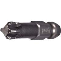 Embout pour outil &eacute;lectrique ACR, Phillips, Embout #2, Prise 1/4", Longueur 2" Trail Hammer and Bolt