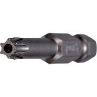 Embout inviolable pour outil &eacute;lectrique Trail Hammer and Bolt