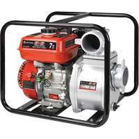 Gas Powered Pumps