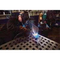 Vise-Grip&reg; Fast Release 11R Locking Pliers, 11" Length, C-Clamp Trail Hammer and Bolt