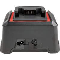 2.5 Ah & 5.0 Ah Battery Charger, 120 V, Lithium-Ion Trail Hammer and Bolt