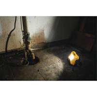 Lampe d'&eacute;clairage direct compact 12V/20V Max, DEL, 2000 Lumens Trail Hammer and Bolt