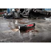 USB Compatible Compact Flashlight, LED, 800 Lumens, Rechargeable Batteries Trail Hammer and Bolt