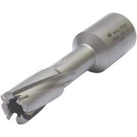 Core Cut Annular Cutter with Weldon Shank, 12 mm Diameter, Carbide, 30 mm Depth of Cut, 3/4" Shank Trail Hammer and Bolt
